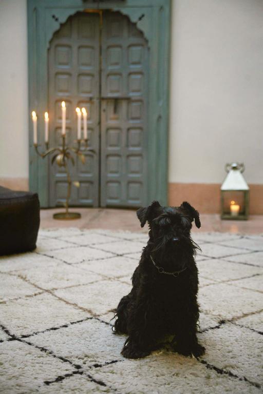 Riad Le J Marrakesh Luaran gambar